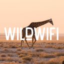 WildWifi