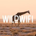 WildWifi